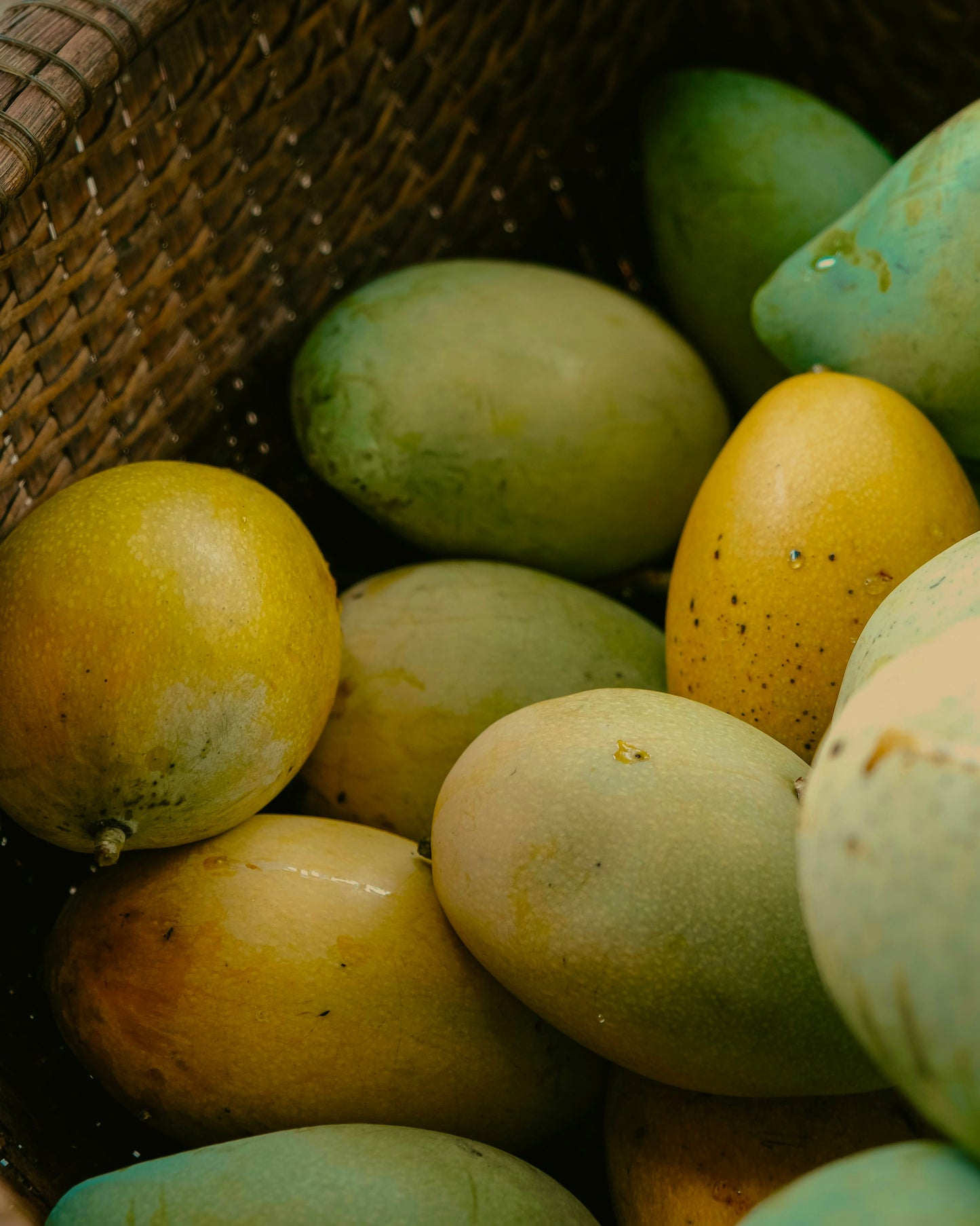 Mango & Neroli Reed Diffuser