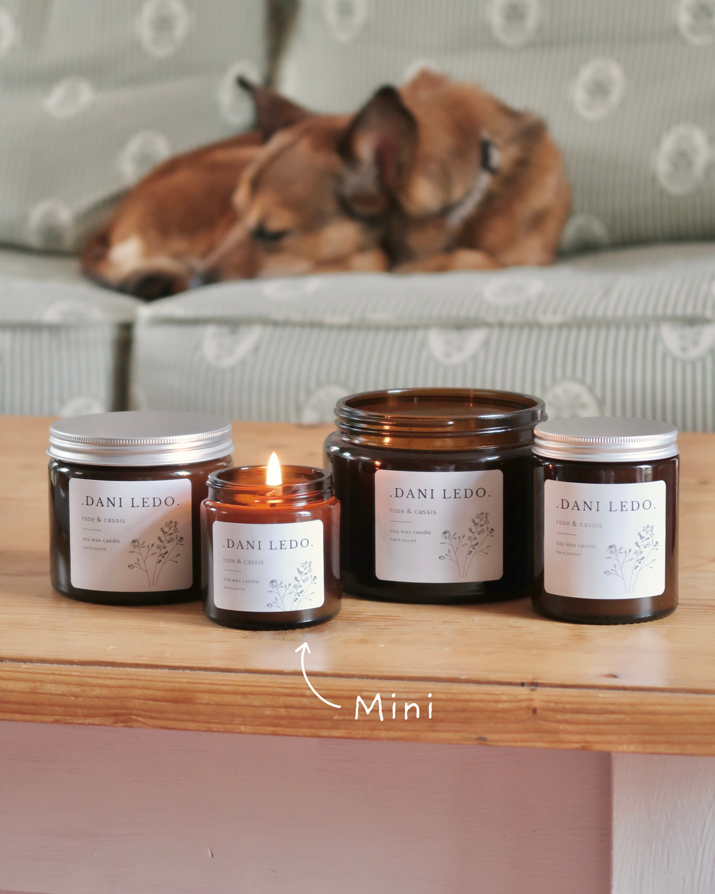 Rose & Cassis Candle
